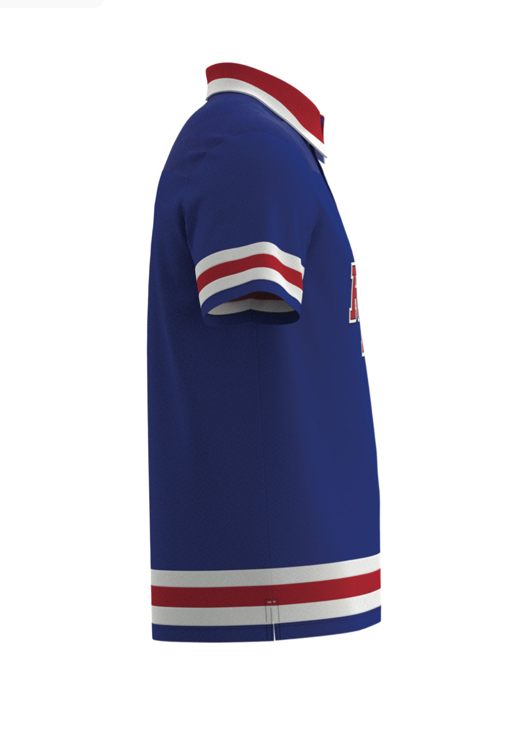 The New York Hockey Polo